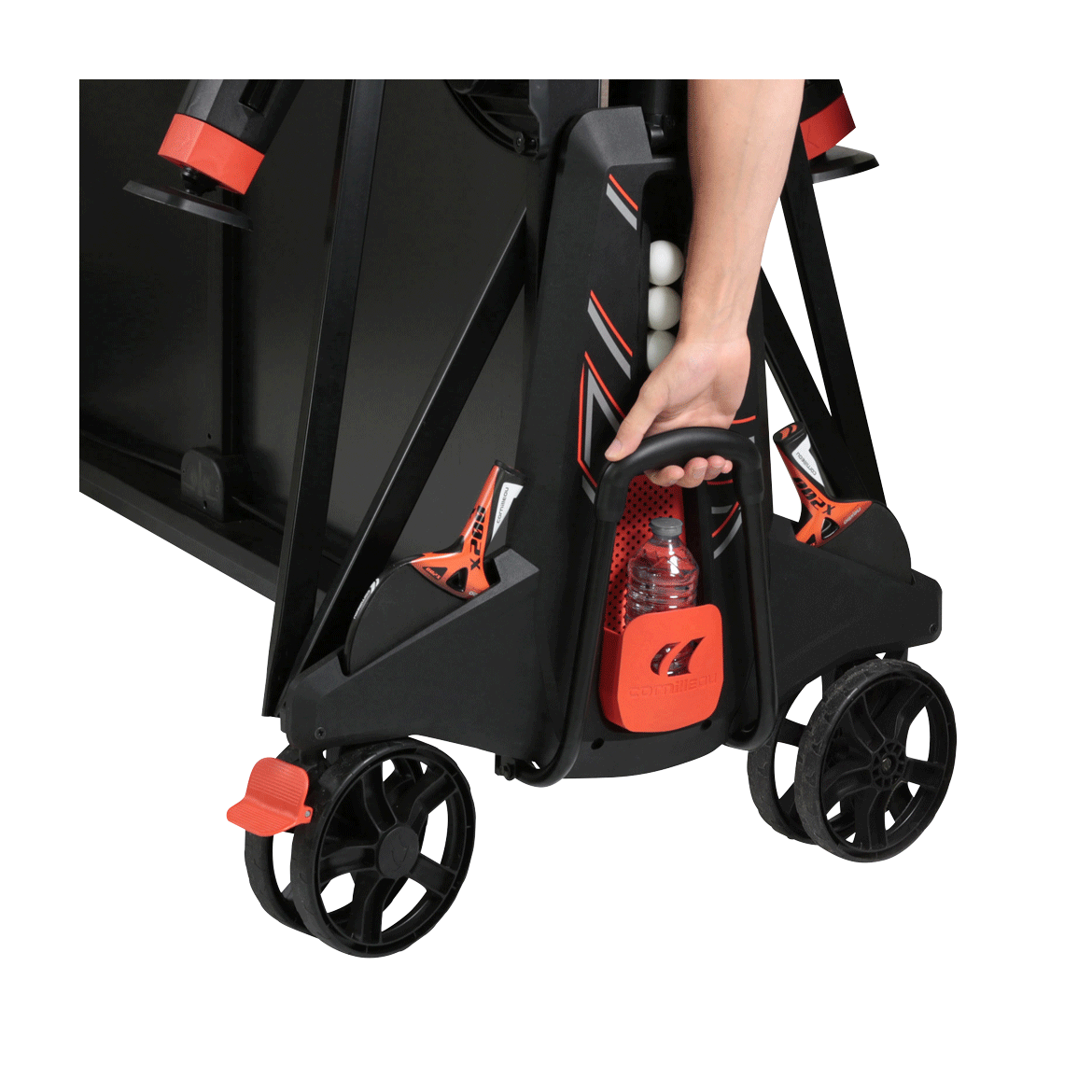Miniatura 8